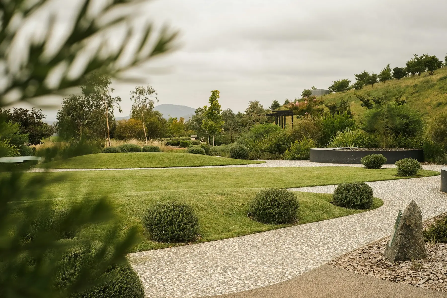 A neatly kept lawn with a curving gravel path and clipped shrubs