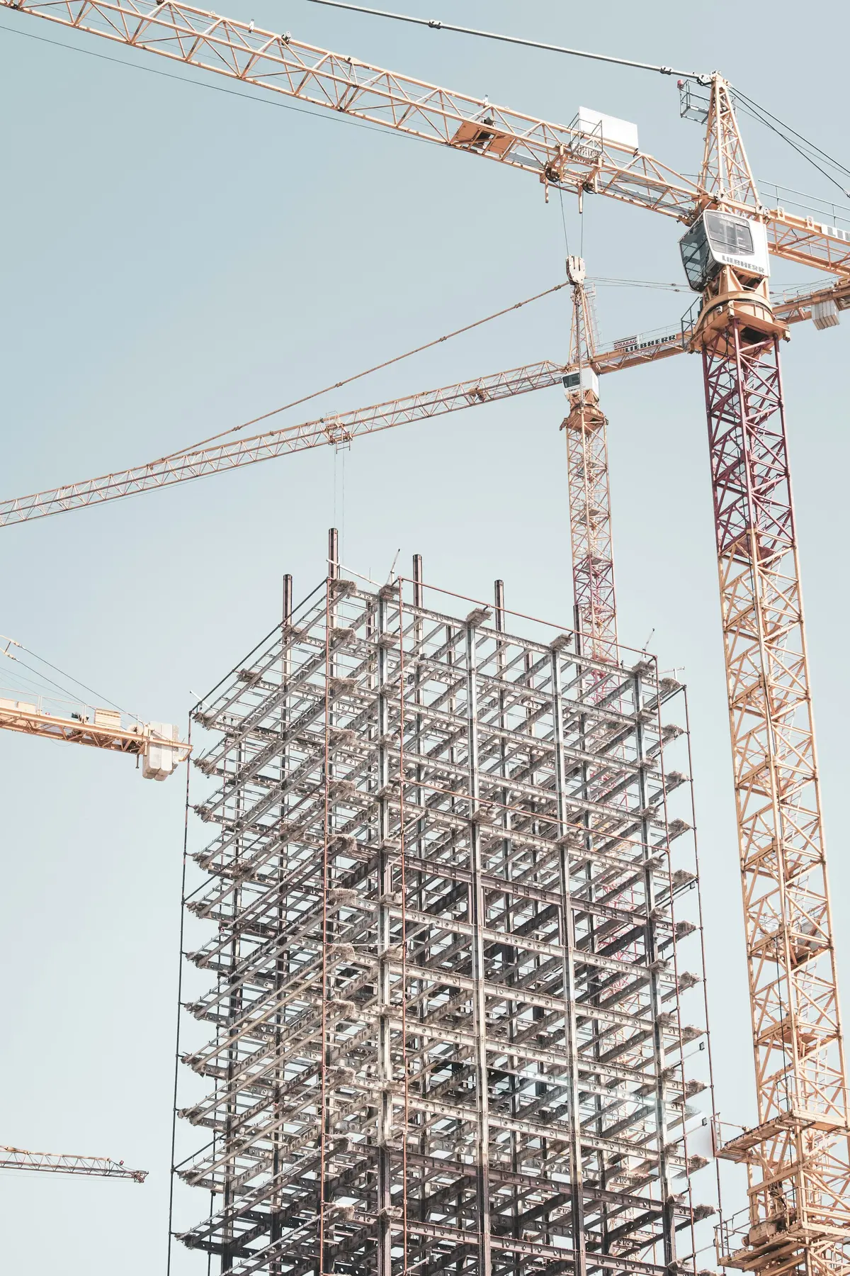 A steel building frame between two tower cranes
