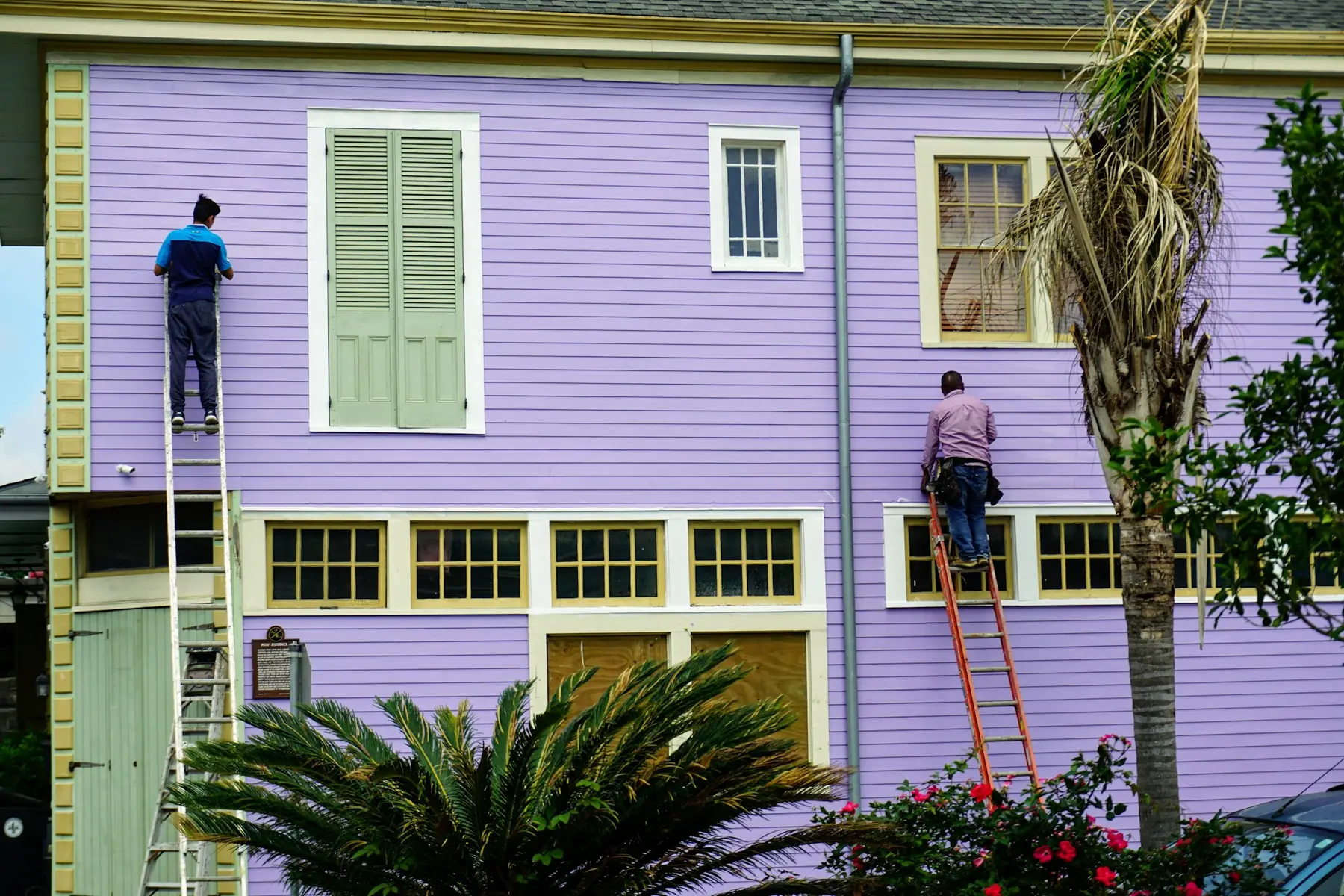 Two decorators on ladders painting a lilac clapboard house